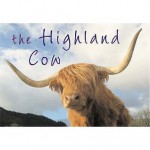 The Highland Cow - Kenny Taylor