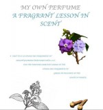 My own perfume - a fragrant lesson in scent - Peter Brooks