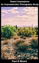 Desert Impressions - An Impressionistic Photography study (Art Book 9) - Paul Moore, Paul B Moore