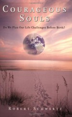 Courageous Souls: Do We Plan Our Life Challenges Before Birth? - Robert Schwartz