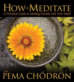 How to Meditate with Pema Chodron: A Practical Guide to Making Friends with Your Mind - Pema Chödrön