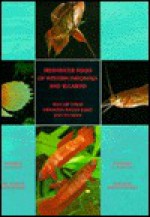 Freshwater Fish of Western Indonesian & Sulawesi - Anthony J. Whitten, Sri N. Kartikasari, Soetikno Wirjoatmodjo