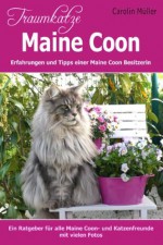 Traumkatze Maine Coon - Erfahrungen und Tipps einer Maine Coon Besitzerin (German Edition) - Carolin Müller