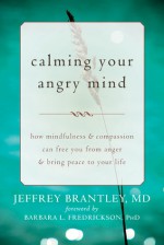 Calming Your Angry Mind: How Mindfulness and Compassion Can Free You from Anger and Bring Peace to Your Life - Jeffrey Brantley