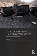 The Political Economy of the Chinese Coal Industry: Black Gold and Blood-Stained Coal - Tim Wright