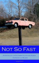 Not So Fast: An Anthology of Southern Literature and Humor - Lily Wilson, Mandy Haynes, Pat Hebert, ann hutchinson, Gary Jenkins, Robert Mangeot, Cynthia Minor, Charlotte Munoz, Dave Norem, Jonathan Hart Price