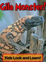 Gila Monsters! Learn About Gila Monsters and Enjoy Colorful Pictures - Look and Learn! (50+ Photos of Gila Monsters) - Becky Wolff