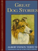 Great Dog Stories - Albert Payson Terhune