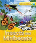 Insects and Minibeasts - Jinny Johnson