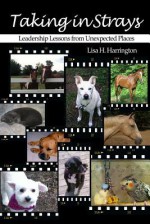 Taking in Strays: Leadership Lessons from Unexpected Places - Lisa H Harrington, Jennifer-Crystal Johnson, Judy Hoberman