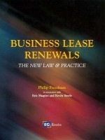 Business Lease Renewals - Eric Shapiro, Philip Freedman, Kevin Steele