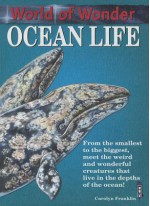 Ocean Life - Carolyn Franklin