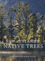 New Zealand's Native Trees - John Dawson