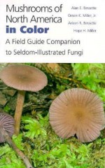 Mushrooms of North America in Color: A Field Guide Companion to Seldom-Illustrated Fungi - Alan E. Bessette, Orson K. Miller, Hope H. Miller