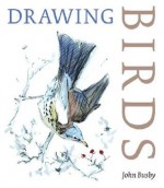 Drawing Birds - John Busby