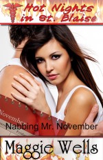 Nabbing Mr. November (Hot Nights in St. Blaise book #11) - Maggie Wells