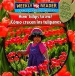 How Tulips Grow/Como Crecen Los Tulipanes - Joanne Mattern