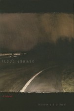 Flood Summer: A Novel - Trenton Lee Stewart