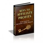 COMPLETE How To Book on Affiliate Marketing and Profits - OVER 100 detailed pages - Tom Morgan