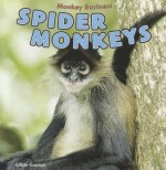 Spider Monkeys - Gillian Gosman