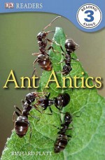 Ant Antics - Deborah Lock