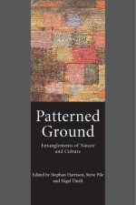 Patterned Ground: Entanglements of Nature and Culture - Stephan Harrison, Steve Pile, Nigel Thrift