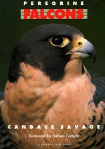 Peregrine Falcons - Candace Savage