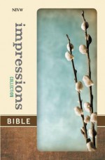 NIV Impressions Collection Bible - Zondervan Publishing