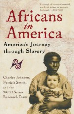 Africans in America: America's Journey through Slavery - Charles R. Johnson, Charles R. Johnson, WGBH Series Research Team