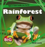 Rainforest - Sarah Levete