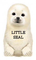 Little Seal - L. Rigo, Giovanni Caviezel