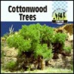 Cottonwood Trees - John F. Prevost