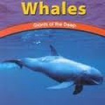 Whales: Giants of the Deep - Adele D. Richardson, Becky Olien