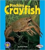 Pinching Crayfish - Janet Piehl