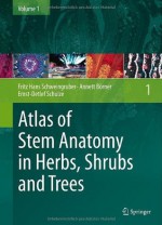 Atlas of Stem Anatomy in Herbs, Shrubs and Trees: Volume 1 - Fritz Hans Schweingruber, Annett Borner, Ernst-Detlef Schulze