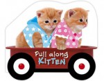 Pull Along Kittens - Karen Morrison, Claire Page