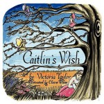 Caitlin's Wish - Victoria Taylor