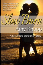 Slow Burn - Amy Knupp