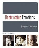 Destructive Emotions - Florence MacKenzie