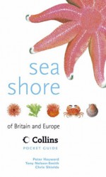 Sea Shore of Britain and Europe - P.J. Hayward, Chris Shields, Tony Nelson-Smith