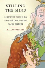 Stilling the Mind: Shamatha Teachings from Dudjom Lingpa's Vajra Essence - B. Alan Wallace