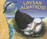 Laysan Albatross - Michael Molnar