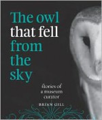 The Owl that Fell from the Sky - Stories of a Museum Curator - Brian Gill