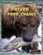 River Food Chains - Rachel Lynette