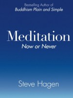 Meditation Now or Never - Steve Hagen