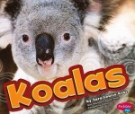 Koalas (Australian Animals) - Sara Louise Kras, Gail Saunders-Smith