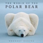 The World of the Polar Bear - Norbert Rosing