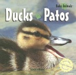 Ducks/Patos - Alice Twine, Jose Maria Obregon