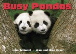 Busy Pandas - John Schindel, Lisa Husar, Mike Husar