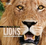 Face to Face with Lions - Beverly Joubert, Dereck Joubert